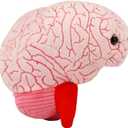 GIANT MICROBES Brain Plush, Gift for Med Student, Gifts for Neurologist, Brain Surgery Recovery, TBI Awareness, Neurology Gifts, Neuroscience Gift, Mental Health Awareness