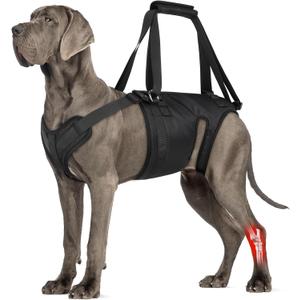 Dog Lift Harness, Dog Sling for Large Medium Dogs' Hind Leg Support Pee-Able. Ideal for Seniors, Disabled, Injured & Arthritic Dogs in ACL Recovery, Secure Harness for Assisted Mobility (Medium)
