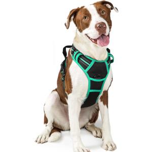 rabbitgoo Dog Harness No Pull with 2 Leash Clips, Adjustable Soft Padded, Reflective Oxford No Choke Pet Vest with Easy Control Handle for Large Dogs, Black & Turquoise, Large