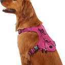 KONG Ultra Durable Waste Bag Harness (Large, Pink)
