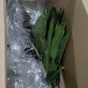 Nearly Natural 48in Dracaena Silk Plant (Real Touch) Green