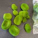 Artificial Moss Rocks 5 Size Decorative Moss Stones Green Moss Covered Stones Fake Moss Decor for Floral Arrangements Crafting
.