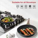 Caannasweis Nonstick Granite Frying Pan Skillet, Non Stick Omelette Fry Pans, Omelet Egg Pan, Stone Cookware Chef's Pan, Induction Compatible, PFOA Free (Gray, 9.5 Inch)