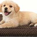 Dog Bed Crate Mat, Soft Durable Washable Anti-Slip Kennel Pad for Dogs & Cats, Reversible (Dark Brown, S(24"*18"*1.5"))