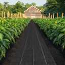 4FT x 100FT Weed Barrier Fabric Heavy Duty, 5.8oz Landscaping Fabric Woven Landscape Ground Cover for Gardens & Lawns