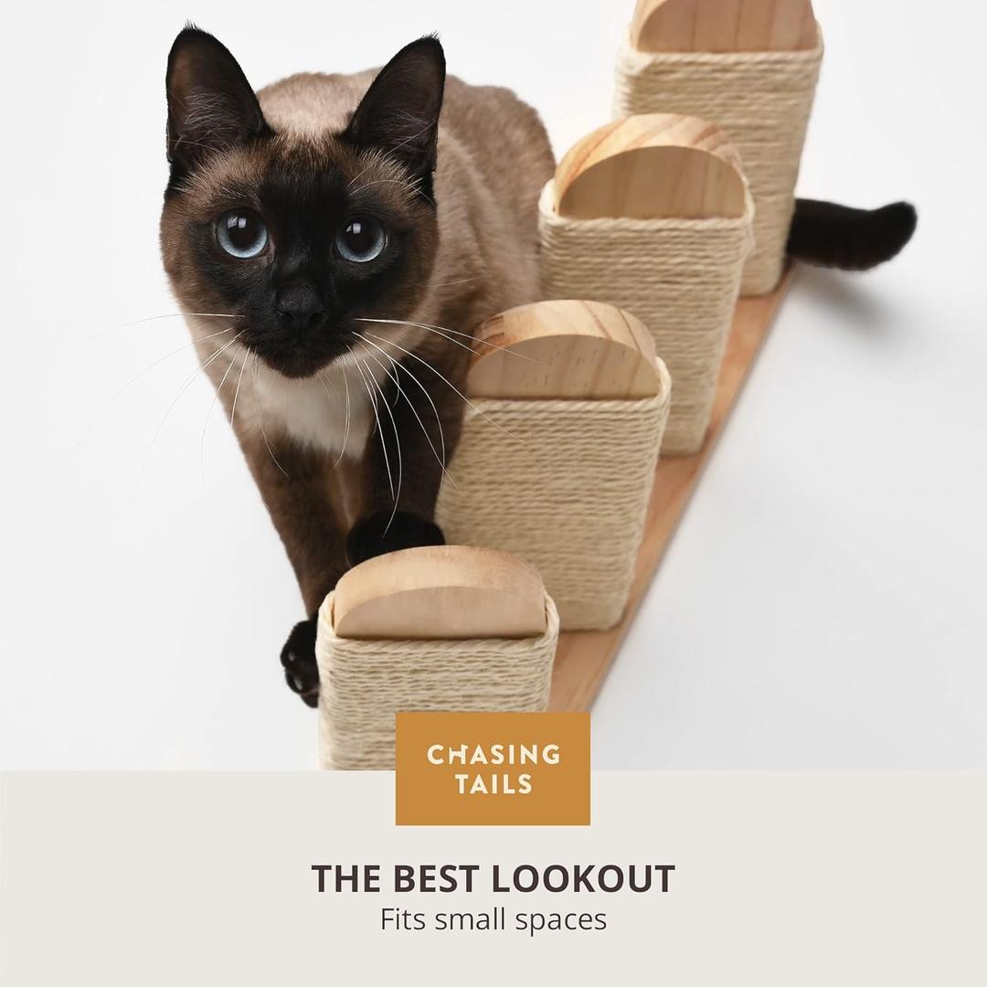 Cat Wall Hammock Set of 3, Wall Shelves with 1 Floating Fabric Hammock, 2 Cat Ladders with 4 Steps Each, Wall Mounted Bed Furniture & Climber for Large Cats