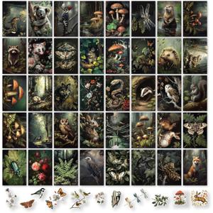 97 Decor Cottagecore Room Decor - 40 Pcs Cottagecore Wall Art, Vintage Botanical Nature Mushroom Poster for Bedroom