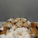 MaoGoLan Bulk Teddy Bears, 9 Packs Bulk Stuffed Animals, Small 13.8 Inch Plush Teddy Bear Toys Gift for Boys Girls Birthday Party (White/Brown/Dark Brown)