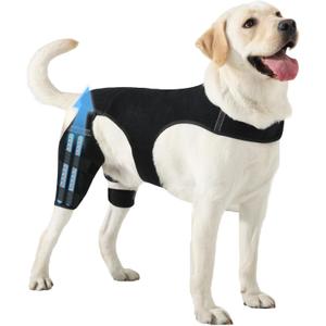 Dog Knee Brace for Torn ACL Hind Leg, Adjustable Dog Leg Braces for Back Leg with 4 Stabilizers for Luxating Patella, Hip Dysplasia, Ligament, Arthritis Recovery for Small Medium Large Dogs (L)