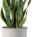 8 Inch Plant Pot: Ceramic Planter with Drainage Hole & Saucer - Flowerpot for Indoor & Outdoor Plants with Separate Tray for Home & Office - Honeycomb Design, Cream White