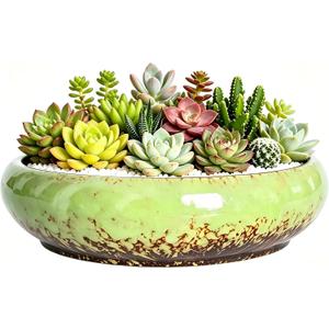Succulent Pots, 10 Inch Shallow Planter with Drainage, Green