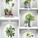10PCS Large Tropical Potted Plants Window Decals 35.43" x 11.81" 3D Green Bonsai Monstera Leaves Wall Stickers Glass Clings Peel and Stick Film Wallpaper Living Room TV Background Sofa Bedroom Decor