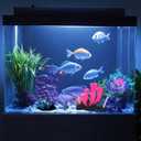 ZtohPyo 4 Pieces Aquarium Fish Tank Decorations with Glowing Effect, Silicone Glow Artificial Ornament Coral Reef Plants for Aquarium Decoration Small and Large Fish Bowl Decor Accessories