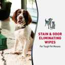 2 x Natures Miracle Advanced Stain And Odor Eliminating Wipes for Hard Surfaces, 30 Count, Enzymatic Formula Eliminates Tough Pet Messes