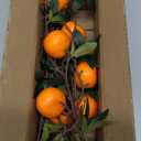 Woration 4PCS Artificial Orange Branches Simulation Tangerine Plastic Tree Plant Stem with Fruit Fake Greenery Home DIY Dcor Props 19.3inch