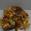 2 Pack Fall Maple Leaf Garland Clearance - 6.5ft/Piece Artificial Fall Foliage Garland Autumn Decoration for Home Wedding Halloween Party Thanksgiving