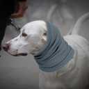 2 x MAMORE Dog Calming Hoodie, Dog's Ear Muffs Head Cover for Anxiety Relief, Grooming and Force Drying Protection, Noise Canceling for Dogs (Light Blue, Small)