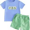 Toddler Baby Boys Frog Outfit 2Pcs Infant Summer Clothes Embroidery Short Sleeves T Shirts and Gingham Shorts Set