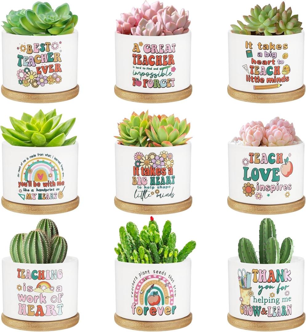 SAIWEILAI ONLINE 9Pcs Teacher Appreciation Gifts Teacher Flower Style Succulent Plant Pot Succulent Accessories for Teacher Women Birthday Gift Plants Not Included