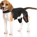 Dog Knee Brace for Torn ACL Hind Leg Adjustable Dog Leg Braces for Both Back Legs with 4 Stabilizers, Strong Support for Torn CCL, Luxating Patella, Ligament Injuries, Hip Dysplasia, Medium