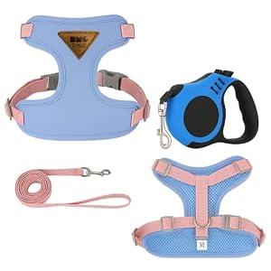 Cat Harness and Retractable Leash Set – Escape-Proof Adjustable Soft Air-Mesh Vest with Reflective No-Choke Design, Heavy-Duty Leash for Cats, Outdoor Walking & Training (Blue, m)
