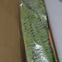 FOREST PRINCE 35" Ferns Artificial Bush Plants Large, 2 Artificial Boston Ferns with 39 Fronds for Outdoors Home Decor