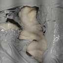 Tuddrom Decorative Extra Soft Faux Fur Throw Blanket 50" x 60",Solid Reversible Fuzzy Long Hair Shaggy Blanket,Fluffy Cozy Plush Fleece Comfy Microfiber Fur Blanket for Couch Sofa Bed,Pure White