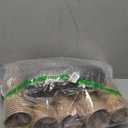 100Set Christmas Disposable Paper Cups with Lids 12oz, Bulk Xmas Hot Cocoa Cups Coffee Cups, Holiday Kraft Paper Cups for Hot Chocolate Cold Drinks Christmas New Year Winter Party Supplies Decorations