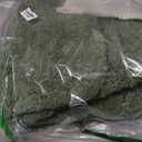 MIULEE Moss Green Bathroom Rugs Set 2 Piece, Soft Absorbent Microfiber Bath Mat Set, Non Slip Quick Dry Machine Washable Plush Shaggy Bath Rugs for Bathroom Floor, Tub and Shower, 16x24 Inches