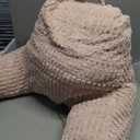 Blissful Diary Reading Pillow, Backrest Pillow with Shredded Memory Foam for Adult & Children, Designed for Bed and Couch Sitting Up, Includes Arms, Pockets and Washable Cover, Pale Pink