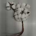 1 Set Bouquet Cotton Dry Fake Foam Flowers Dry Cotton Ball Stems House Decorations for Home Party Decorations Fake Plant Spray Natural