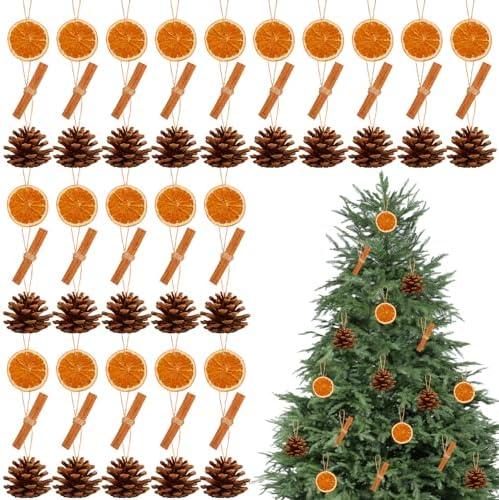 60 Set Christmas Tree Decorations Natural Pine Cones Dried Orange Slices Cinnamon Sticks Hanging Ornaments DIY Handmade Crafts with Hemp Rope and Plastic Needle for Fireplace Wall Xmas Tree Decor