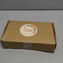 31 Inch Christmas Norfolk Pine Branches - Norfolk Stems Faux Christmas Greenery Stems, Artificial Pine Branches for Vases 2 Pcs