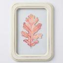 HH 11.8in Clear Wall Sign Leaf Red