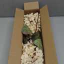 Fake Flowers Hydrangea Silk Flowers With Stems White Flowers Fake Flowers In Vase Hydrangea Artificial Flowers Winter Flowers Artificial For Decoration Vase Decor 24"Cream Color8PCS Wthout Vase