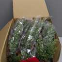 Janinka 4 Pcs Christmas Wreath for Windows 11.8 Inch Christmas Window Decorations Cabinet Wreaths with Red Bow Greenery Artificial Hanging Garlands for Fireplaces Window Home (Cedar)