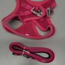 rabbitgoo Dog Harness Small Sized and Leash Set, Step in Soft Light Puppy Vest, Breathable Mesh Pet Harness, Reflective for Safe Easy Walking, Rose Red S (S (Chest: 15.1 - 16.5"))