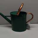 1 Gallon Metal Watering Can with Removable Spout, Nice Galvanized Steel Water Can with Embossed Design for Indoor and Outdoor Plants