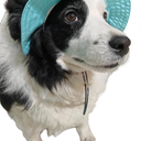 Dog Hat with Ear Hole for Large Dog Sunscreen Summer Bucket Hat Cat Suncare Cooling Outdoor Hat Sun Protection Pet Caps (Blue, X-Large)