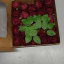 Burgundy Artificial Flowers Velvet Roses 25 PCS Real Look Silk Flowers with Stems for DIY Wedding Party Baby Shower Home Decoration(Burgundy)