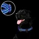 azuza Reflective Dog Collar, Soft Neoprene Padded Pet Collar with ID Tag Ring, Adjustable for Medium Dogs,Royal Blue,M