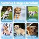 Male Dog Diapers, Dog Diapers Male Disposable with Wetness Indicator, 50 Count, Medium, Super Absorbent Leak-Proof Fit for Male Dogs Excitable Urination or Incontinence