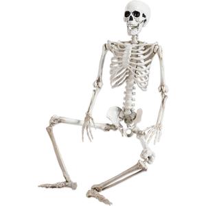 36" Halloween Skeleton Decorations,Human Bones for Halloween Party with Movable Joints, for Haunted Houses, Front Lawn, Graveyard Props