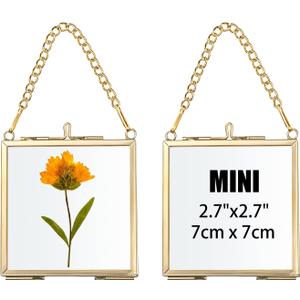 JUXYES 2 Pack Wall Hanging Mini Brass Glass Ornament Frames, Square Floater Picture Artwork Display Frame, Double Glass Floating Tiny Frames Gallery Wall Frame for Photo, Picture, Pressed Flower, Gold