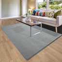 Andecor Soft Area Rug, 4x6 Grey Washable Rugs for Living Room Bedroom, Indoor Fluffy Carpets for Dorm Boys Girls Kids Room Nursery Home Decorations