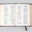 ESV Large Print Compact Bible (TruTone, Berry, Floral Design)