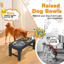 URPOWER Raised Dog Bowls 4 Height Adjustable Elevated Bowl Stand with Stainless Steel Water Bowl Non-Slip Dog Food Bowls Stand for Small Medium Large Dogs and Pets