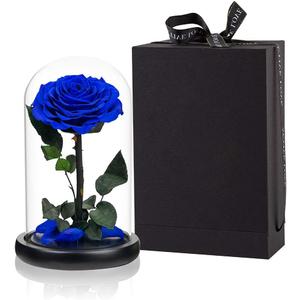 Preserved Roses Handmade Rose in Glass Dome, Preserved Flowers Never Withered Romantic Gifts for Her, Mother's Day, Birthday Gifts for Women (9 inch, Blue)