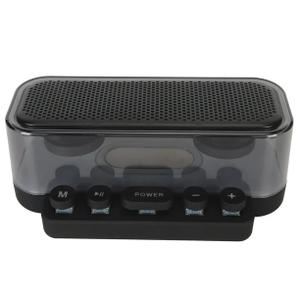 BICONIC Clear Luminous Speaker W/FM BLK