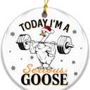 Gym Goose Ornament 2025  Today Im a Serious Goose Weightlifting Ornament for Fitness Lovers, Gym Enthusiasts & Bodybuilders  Hilarious Workout Holiday Decor Gift